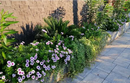 Villa Nerina, Maison 8 personnes à Nin - Photo 13