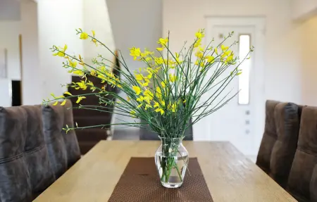 Villa Nerina, Maison 8 personnes à Nin - Photo 21