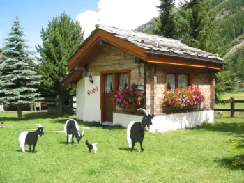 Chalet in Saas Grund,Häuschen Stadel CH3901.660.1 N°230329