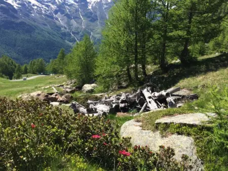 Chalet Sunstar Gross, Appartement 8 personnes à Saas Grund - Photo 29