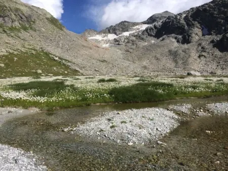 Chalet Sunstar Klein, Appartement 2 personnes à Saas Grund - Photo 29