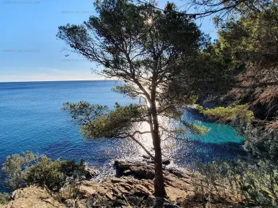 Appartement à Cavalaire sur Mer, Grand studio mezzanine avec vue mer, parking et climatisation à deux pas de la calanque de la Cron - L973169