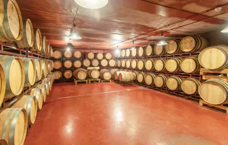 Location Appartement 2 personnes à Cabezon de liebana - Photo 7