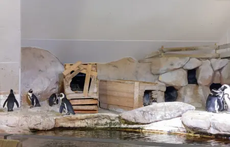 Location Maison 5 personnes à Carly - Photo 14