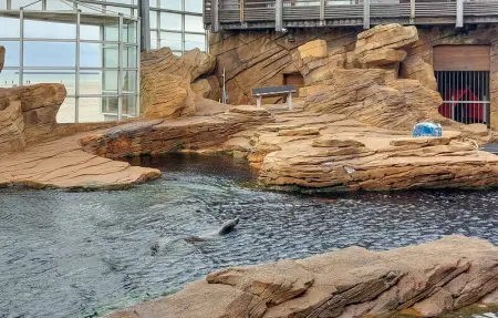 Location Maison 5 personnes à Carly - Photo 15