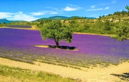 Location Maison 7 personnes à Mazan - Photo 18