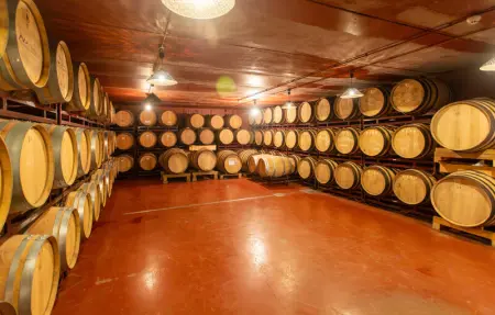 Location Maison 4 personnes à Cabezón de liebana - Photo 25