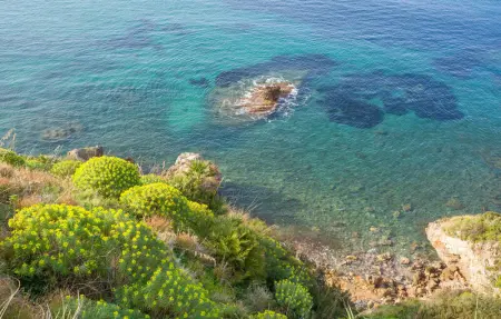 Location Maison 10 personnes à Altavilla Milicia - Photo 38