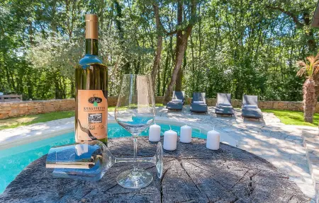 Villa Anneliese, Maison 6 personnes à Tinjan - Photo 21