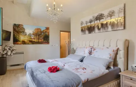 Villa Jakob, Maison 9 personnes à Tinjan - Photo 44