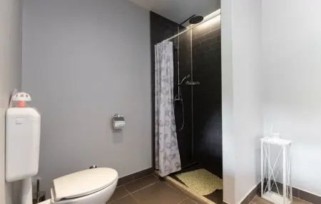 Villa Viscum, Maison 8 personnes à Pazin - Photo 58