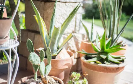 Villa Renata Murter, Maison 16 personnes à Murter - Photo 27