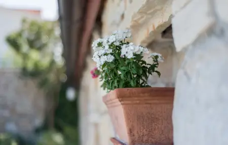 Villa Renata Murter, Maison 16 personnes à Murter - Photo 28