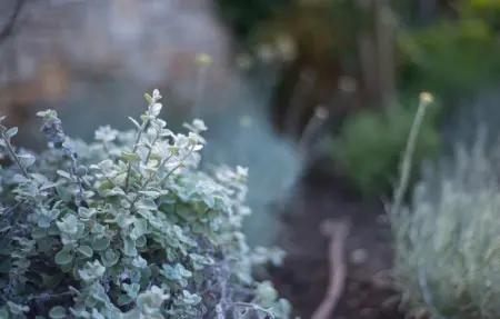 Villa Renata Murter, Maison 16 personnes à Murter - Photo 31