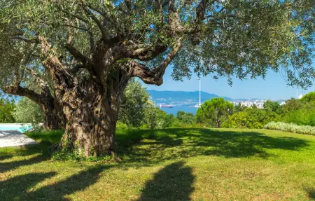 Villa Kamik, Maison 6 personnes à Kostrena - Photo 22
