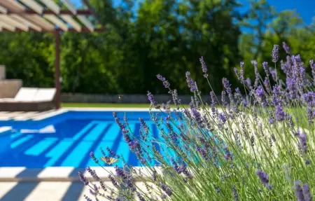 Villa Funcici, Maison 10 personnes à Pazin - Photo 10