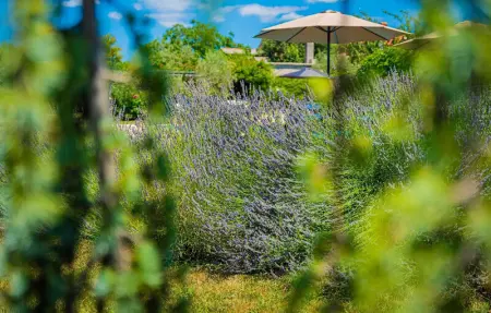 Villa Benka, Maison 8 personnes à Tinjan - Photo 18