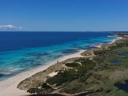 Son Bou Gardens 3 dorm, Appartement 5 personnes à Son Bou - Photo 17