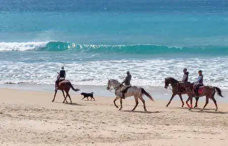 Location Maison 5 personnes à Barbate - Photo 5