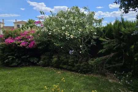 Casa Guadiana, Bungalow 6 personnes à Ayamonte - Photo 32