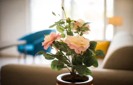 Villa Skrila, Maison 6 personnes à Fazana - Photo 19