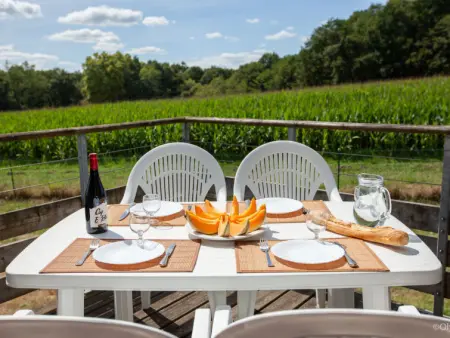 Les Hameaux de La Chalosse, Appartement 4 personnes à Cassen - Photo 3