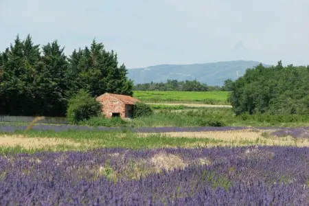 Rosalie, Maison en Provence avec Jardin - Photo 26