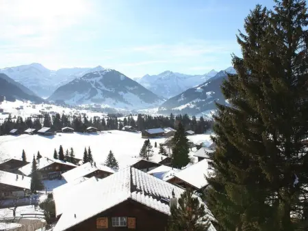Sonnige Matte, Appartement 8 personnes à Schönried - Photo 7