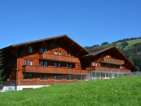 Henry (2. Stock), Appartement 12 personnes à Schönried - Photo 1