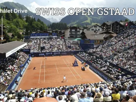 Drive, Appartement 4 personnes à Gstaad - Photo 7