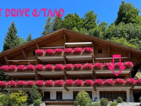 Drive, Appartement 4 personnes à Gstaad - Photo 9