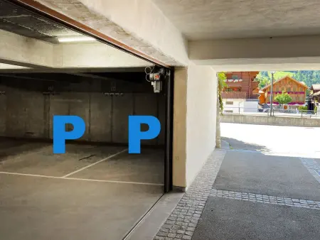 Drive, Appartement 4 personnes à Gstaad - Photo 11