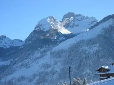 Panorama, Chalet, Appartement 7 personnes à Zweisimmen - Photo 4