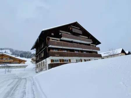 Suzanne Nr. 22, Appartement 4 personnes à Schönried - Photo 8
