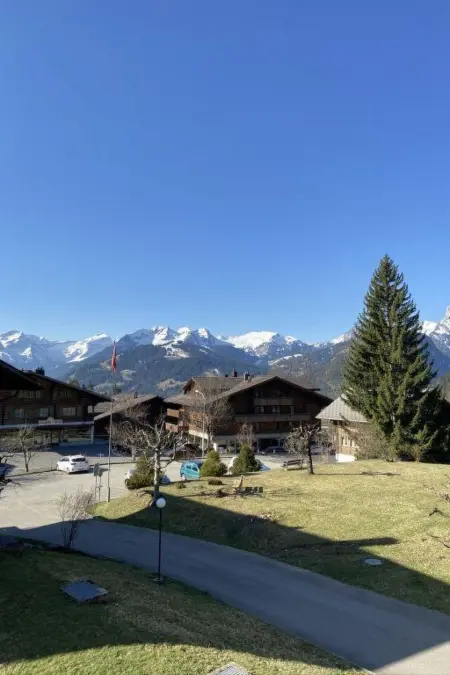 Suzanne Nr. 22, Appartement 4 personnes à Schönried - Photo 11