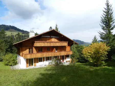 Zapfe (Moore), Appartement 5 personnes à Saanenmöser - Photo 1