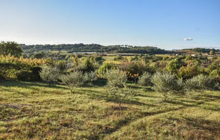 Location Maison 6 personnes à Villes sur Auzon - Photo 12