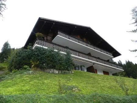 Hornflue (Baumann), Appartement 4 personnes à Saanen - Photo 1