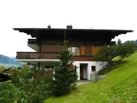 Hornflue (Baumann), Appartement 4 personnes à Saanen - Photo 2
