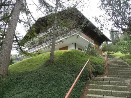 Hornflue (Baumann), Appartement 4 personnes à Saanen - Photo 3