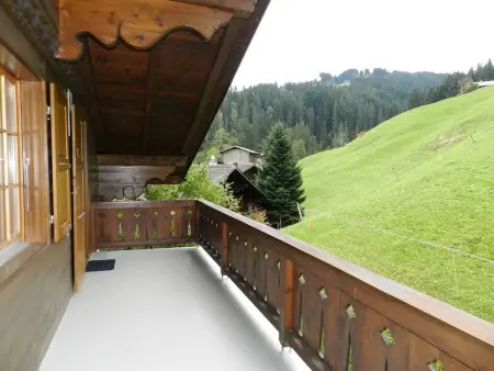 Hornflue (Baumann), Appartement 4 personnes à Saanen - Photo 4