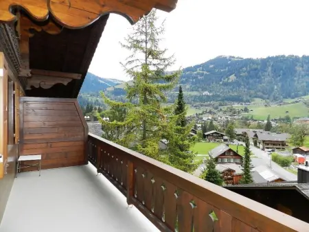 Hornflue (Baumann), Appartement 4 personnes à Saanen - Photo 6