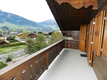 Hornflue (Baumann), Appartement 4 personnes à Saanen - Photo 7
