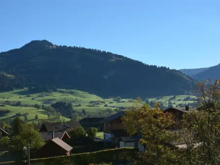 Hornflue (Baumann), Appartement 4 personnes à Saanen - Photo 9