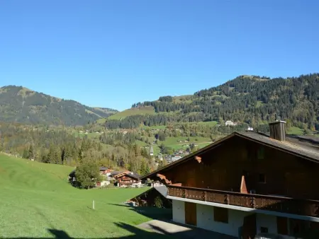 Hornflue (Baumann), Appartement 4 personnes à Saanen - Photo 10