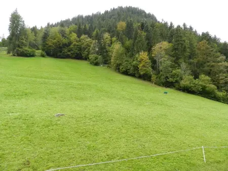 Hornflue (Baumann), Appartement 4 personnes à Saanen - Photo 12