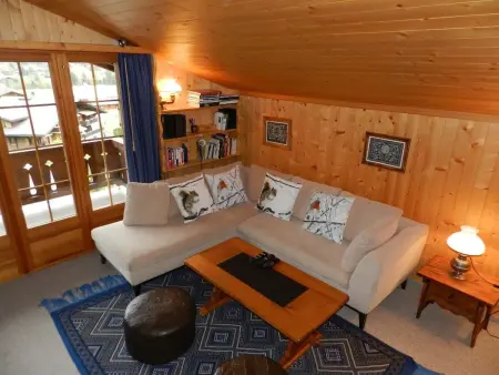 Hornflue (Baumann), Appartement 4 personnes à Saanen - Photo 18