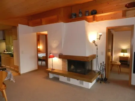 Hornflue (Baumann), Appartement 4 personnes à Saanen - Photo 21