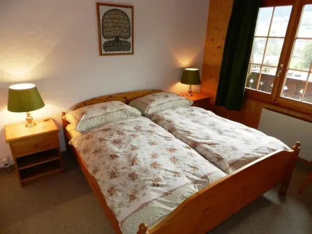 Hornflue (Baumann), Appartement 4 personnes à Saanen - Photo 22