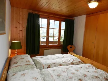 Hornflue (Baumann), Appartement 4 personnes à Saanen - Photo 23